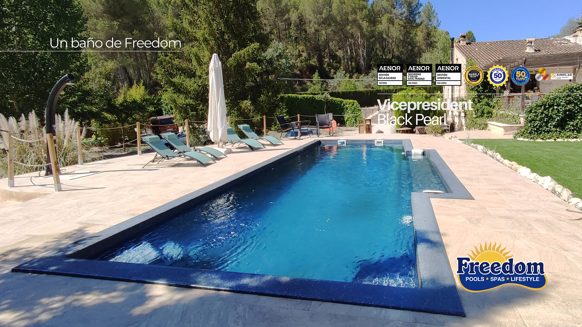 piscine coque modèle Vice-président